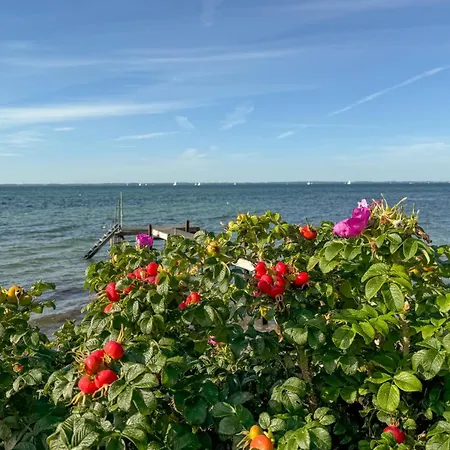 Сasa de vacaciones Pet Friendly In Sydals With Wifi Sonderby (Sonderjylland)