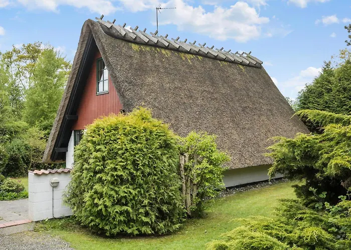 Pet Friendly In Sydals With Wifi