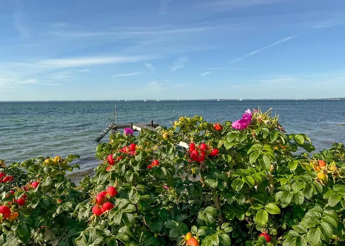 펜션 Pet Friendly In Sydals With Wifi Sonderby (Sonderjylland)